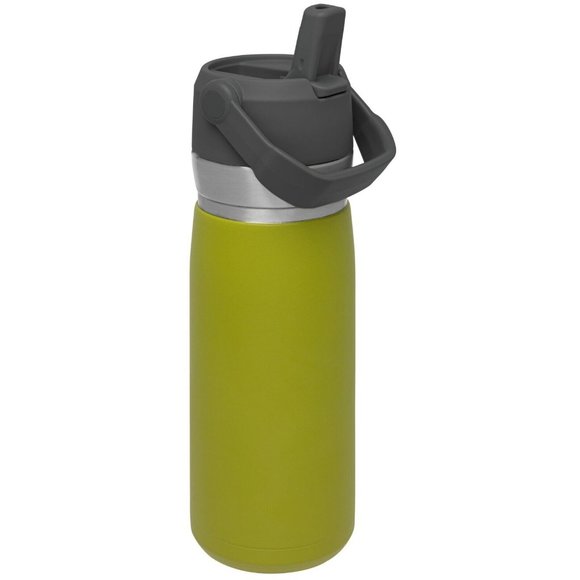 STANLEY 22 oz Green and Silver Insulated Stainless Steel Water Bottle with Straw - Picture 2 of 4
